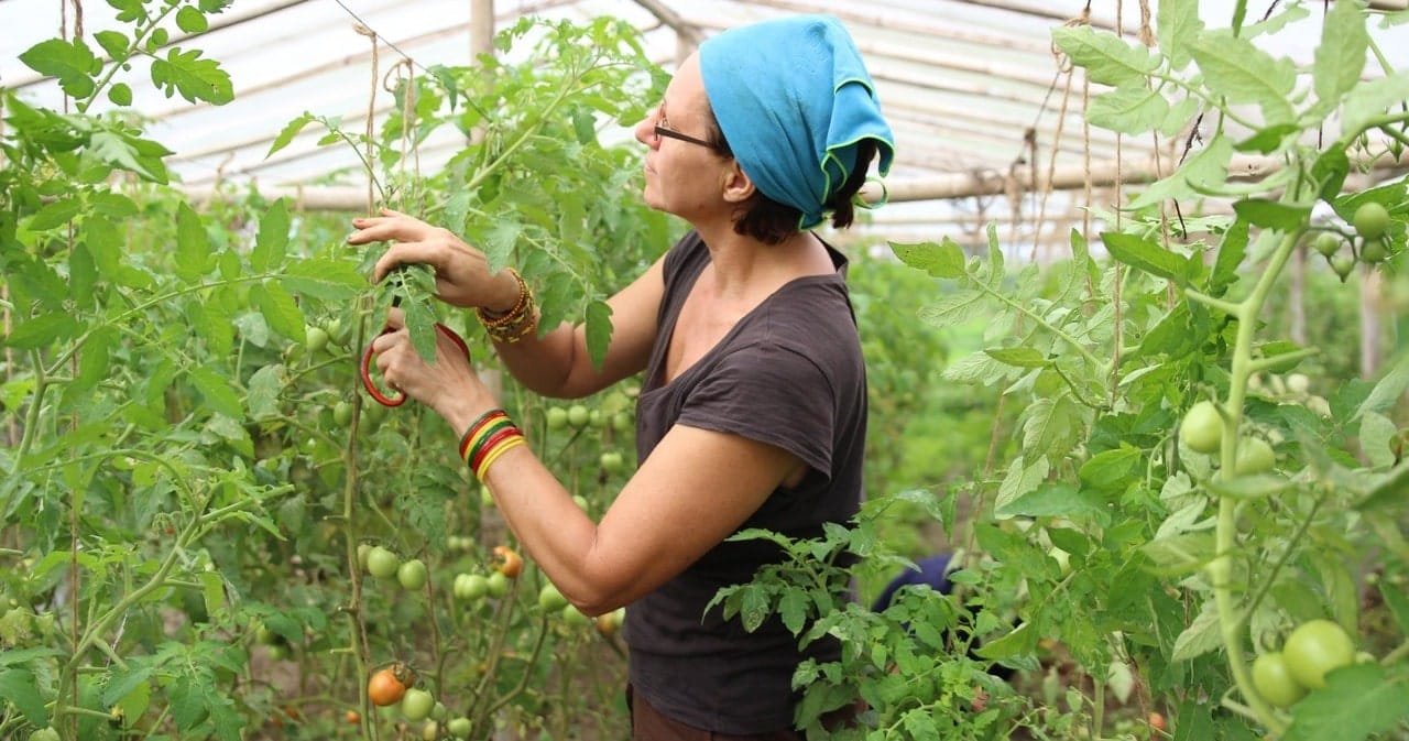 permaculture volunteering program in Nepal