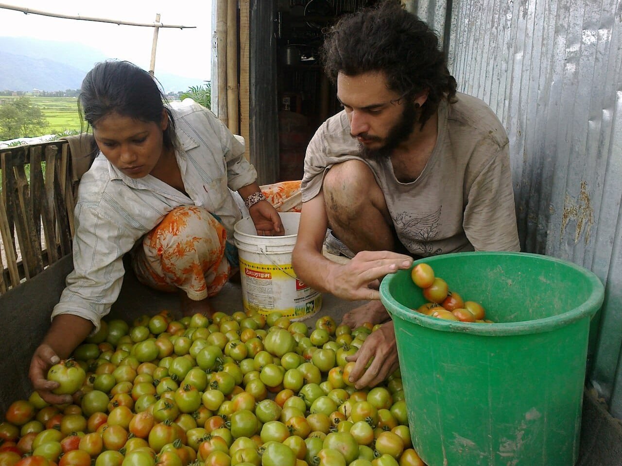 Agroforestry Volunteer Program Nepal